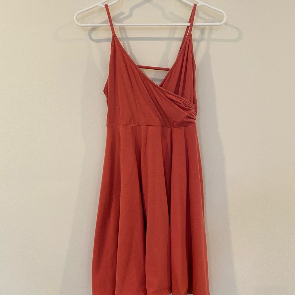 Rose skater dress